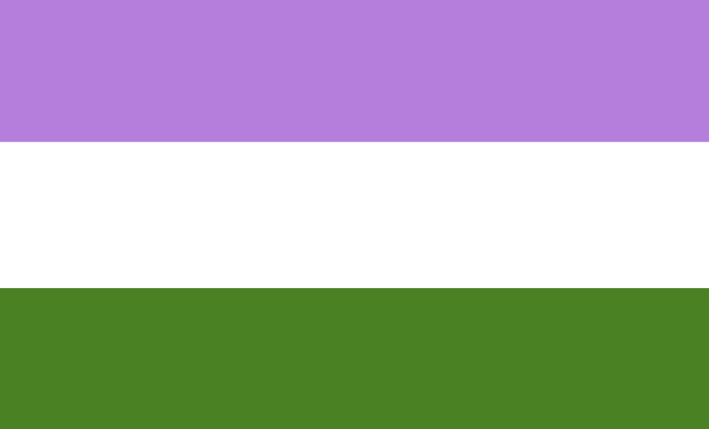 drapeau queer